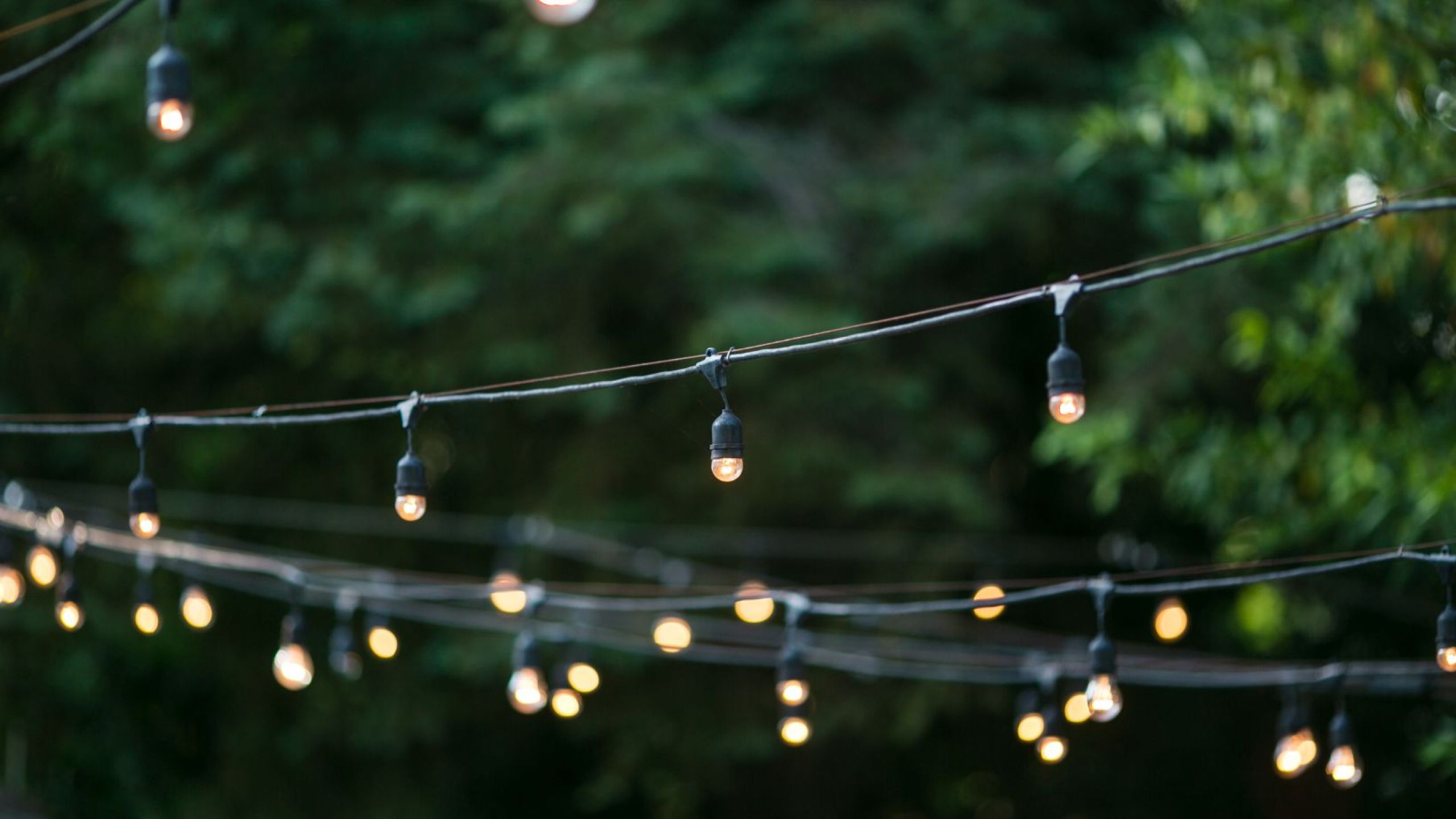 illuminazione da giardino alberi 3