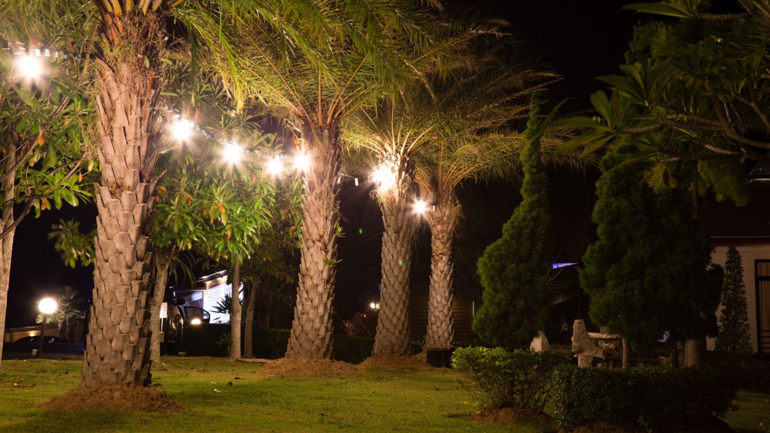 illuminazione da giardino alberi